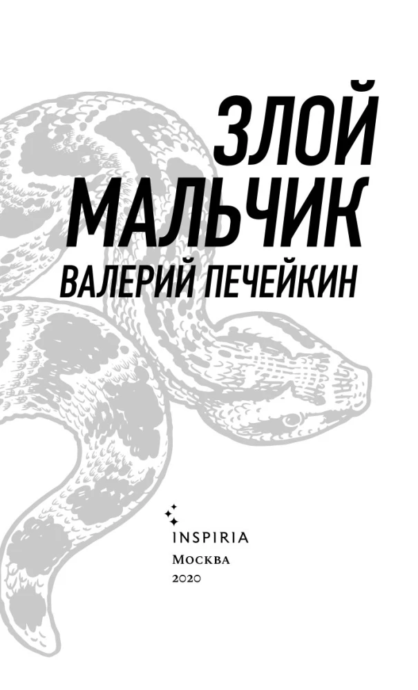 Злой мальчик